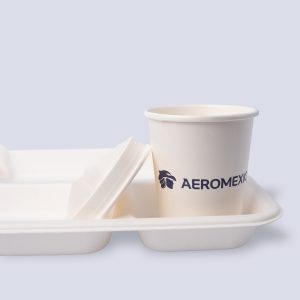 4 Compartment Food Tray